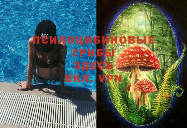прущие грибы Алзамай